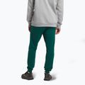 Spodnie męskie Reebok Identity Small Logo Fleece Jogger collegiate green 3