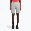 Spodenki treningowe męskie Reebok Identity Small Logo Fleece medium grey heather/vector red