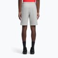 Spodenki treningowe męskie Reebok Identity Small Logo Fleece medium grey heather/vector red 3