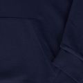 Bluza męska Reebok Identity Big Logo FT Hoodie vecnav 3