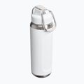 Butelka termiczna Stanley Classic Wellspring frost 2