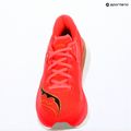 Buty do biegania damskie Saucony Endorphin Azura vizired 16