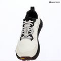 Buty do biegania męskie Altra Lone Peak 9+ vaporous grey/berry 6
