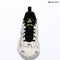 Buty do koszykówki męskie Nike Giannis Immortality 5 white/off white/metallic silver 16