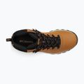 Buty trekkingowe męskie Columbia Newton Ridge Plus II Wp elk/black 15