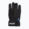 Rękawice narciarskie męskie Oakley Factory Winter Gloves 2.0 blackout 7