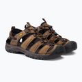 Sandały męskie KEEN Targhee III bison/mulch 4
