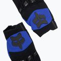 Rękawiczki rowerowe męskie Fox Racing Dirtpaw blue 5