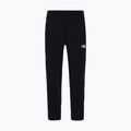 Spodnie męskie The North Face Standard Pant black 4