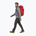 Plecak turystyczny Patagonia Ascensionist 55 l fire 8