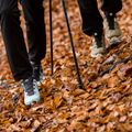 Buty trekkingowe męskie Salomon X Ultra 4 GTX kangaroo/vanila/autumn blaze 12