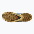 Buty do biegania męskie Salomon XA Pro 3D V8 reef/fall leaf/bronze 15