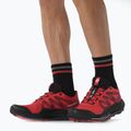 Buty do biegania męskie Salomon Pulsar Trail poppy red/bird/black 11