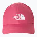 Czapka z daszkiem dziecięca The North Face Uth Horizon slate rose 2