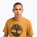 Koszulka męska Timberland Kennebec Tree Logo wheat boot 4
