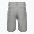 Spodenki męskie Oakley Take Pro Lite stone gray heather 2