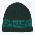 Czapka zimowa Oakley TNP Reversible hunter green/green lake 4