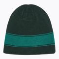 Czapka zimowa Oakley TNP Reversible hunter green/green lake 5