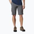 Spodenki trekkingowe męskie Columbia Silver Ridge II Cargo city grey