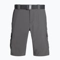 Spodenki trekkingowe męskie Columbia Silver Ridge II Cargo city grey 6