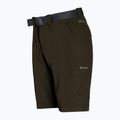 Spodnie trekkingowe męskie Columbia Silver Ridge II Convertible olive green 10