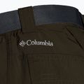Spodnie trekkingowe męskie Columbia Silver Ridge II Convertible olive green 11