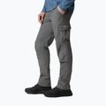 Spodnie trekkingowe męskie Columbia Silver Ridge II Cargo city grey