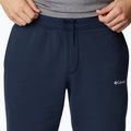 Spodenki trekkingowe męskie Columbia Logo Fleece collegiate navy 4