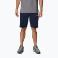 Spodenki trekkingowe męskie Columbia Logo Fleece collegiate navy