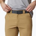 Spodenki trekkingowe męskie Columbia Silver Ridge II crouton 2