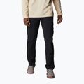 Spodnie trekkingowe męskie Columbia Silver Ridge II Cargo black