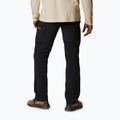 Spodnie trekkingowe męskie Columbia Silver Ridge II Cargo black 2
