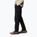 Spodnie trekkingowe męskie Columbia Silver Ridge II Cargo black 3