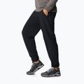 Spodnie trekkingowe damskie Columbia Pleasant Creek Warm Jogger black 2