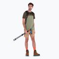 Koszulka trekkingowa męska icebreaker Merino Cool-Lite Sphere III SS Tee Colour Block lichen/loden 5