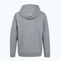 Bluza trekkingowa damska Patagonia P-6 Label Uprisal Hoody gravel heather 2