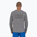 Longsleeve męski Patagonia Cap Cool Daily Graphic Shirt 73 skyline/feather grey 2