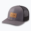Czapka z daszkiem Dakine Peak To Peak Trucker castlerock 5