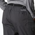 Spodnie trekkingowe męskie Columbia Maxtrail Lite shark 3