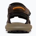 Sandały męskie Columbia Trailstorm Hiker 3 Strap cordovan/gold amber 15