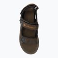 Sandały męskie Columbia Trailstorm Hiker 3 Strap cordovan/gold amber 6