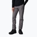 Spodnie softshell męskie Columbia Passo Alto III Heat city grey