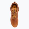 Buty CATerpillar Proxy Hi algorithm 6