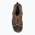 Buty trekkingowe męskie KEEN Circadia Mid WP dark olive/potters clay 6