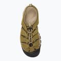 Sandały męskie KEEN Newport martini olive/brindle 6