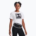 Saszetka nerka Under Armour Flex pitch gray/black/metallic gold 2
