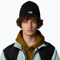 Czapka zimowa męska The North Face Norm Beanie black 4