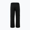 Spodnie narciarskie męskie The North Face Chakal black 6