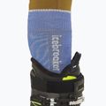 Skarpety narciarskie męskie icebreaker Merino Ski+ Medium OTC Mountain Contour brilliant/ether/baja 4