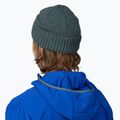 Czapka zimowa Patagonia Brodeo Beanie fitz roy icon/nouveau green 3